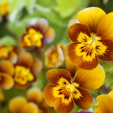 Leitrim Quay - Riverside 7