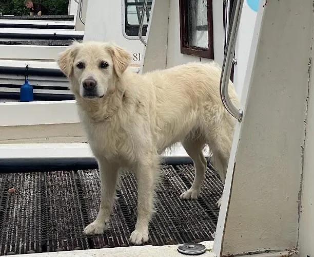 Hébergement de vacances Leitrim Quay - Riverside 7