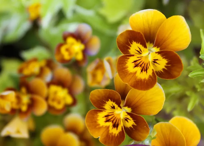 Leitrim Quay - Riverside 7