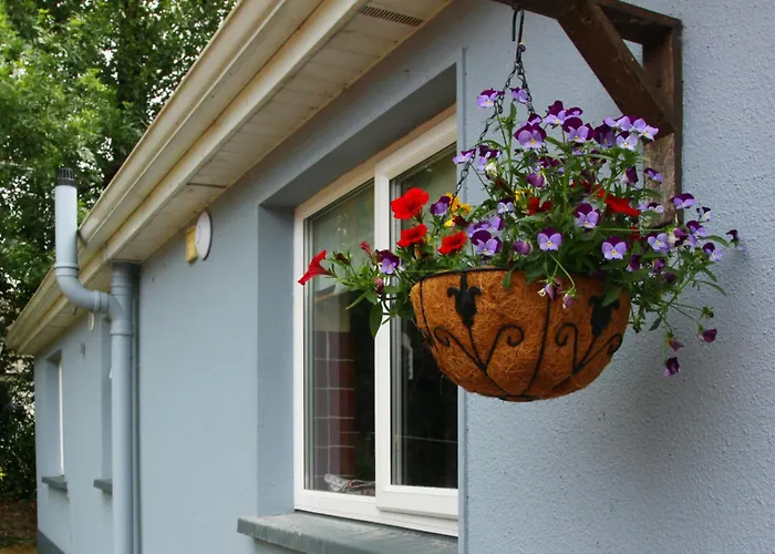 Hébergement de vacances Leitrim Quay - Riverside 7 County Leitrim